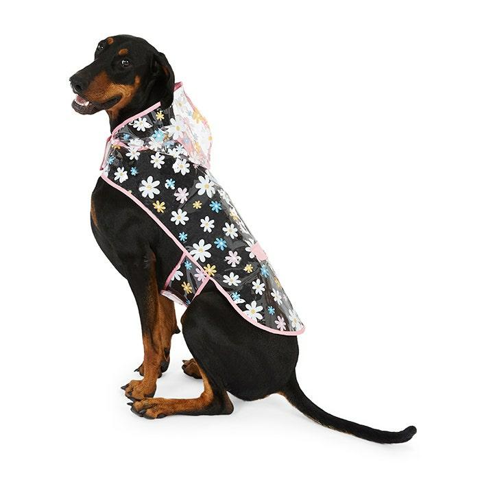 Transparent Flower Garden Dog Raincoat Dog