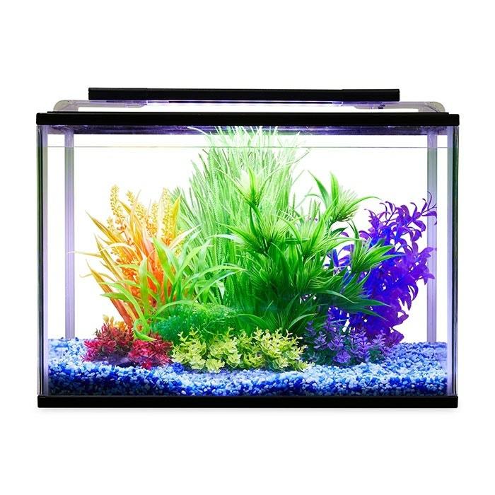 Tropical Learner Aquarium 28L Fish