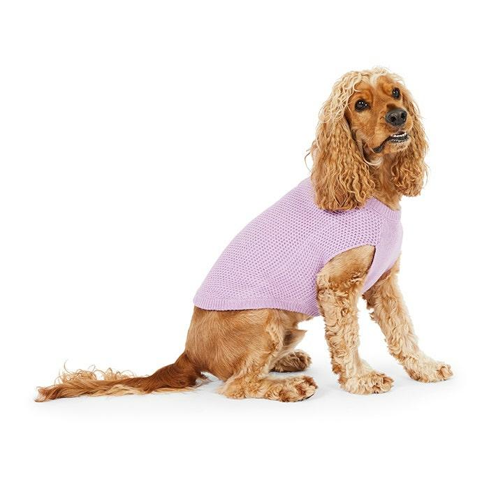 Waffle Henley Dog Knit Purple Dog