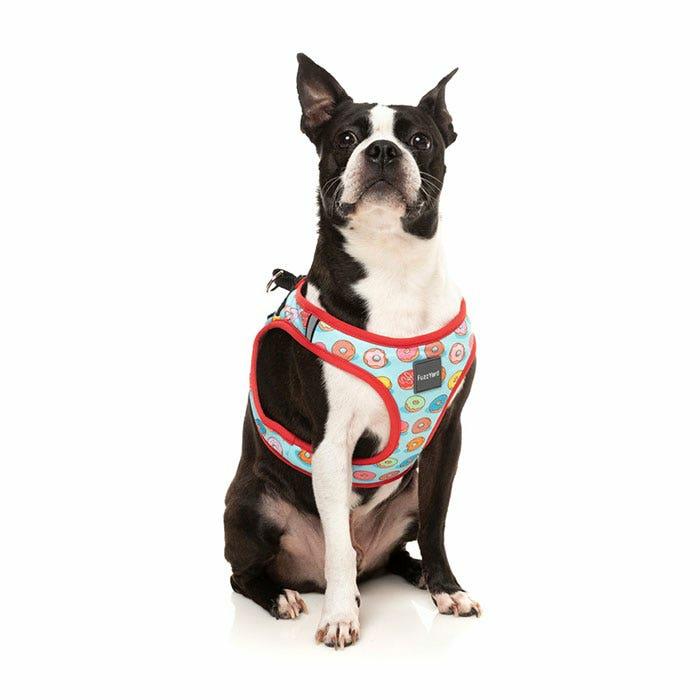 You Drive Me Glazy Step In Dog Harness Blue Dog